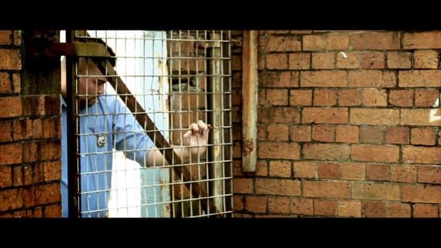 Matt "The Bandit" White - Live Free - Music Video